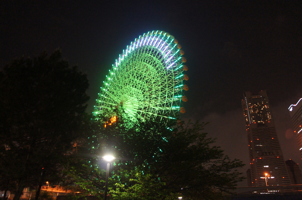 極上の夜景。