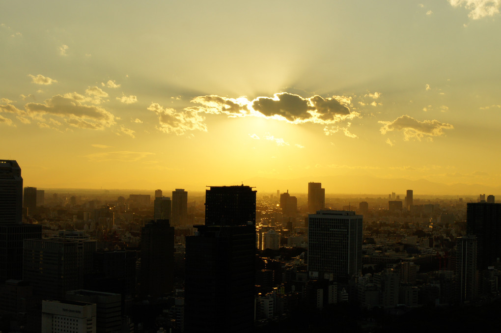 陽に照らされる東京
