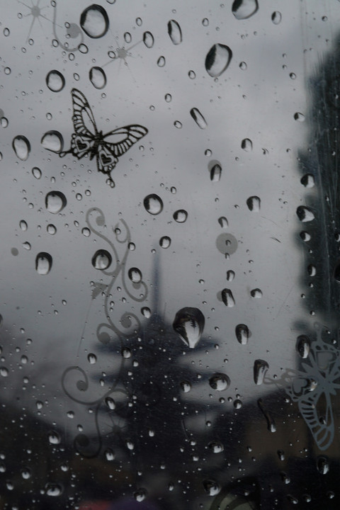雨の蝶