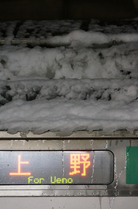 大雪の上野行