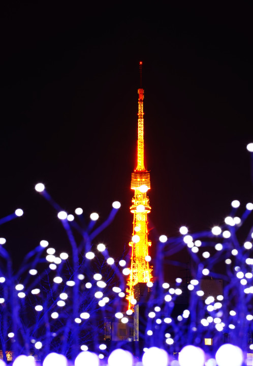 ミッドタウンライトアップと東京タワー