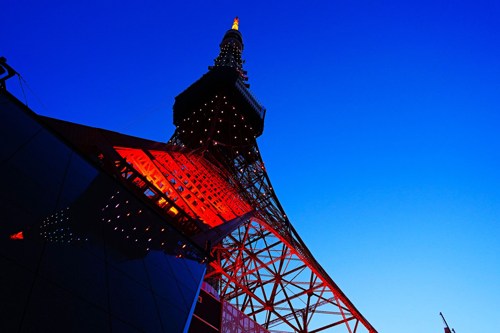 東京タワー夕暮れ