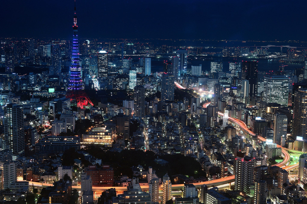 Tokyo　City　View