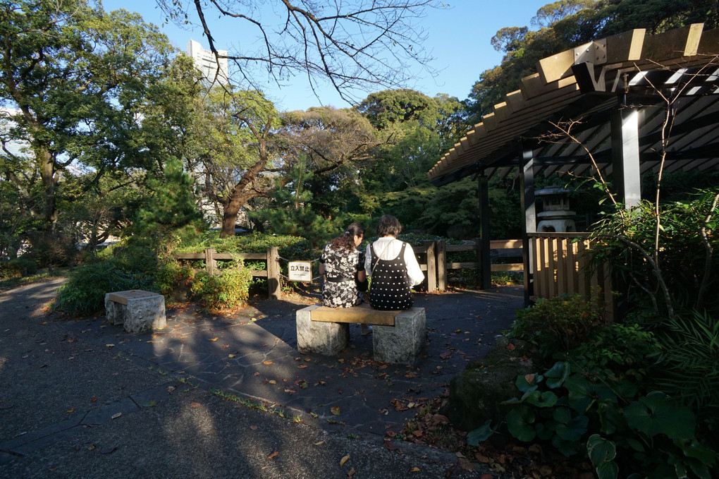 掃部山公園散策