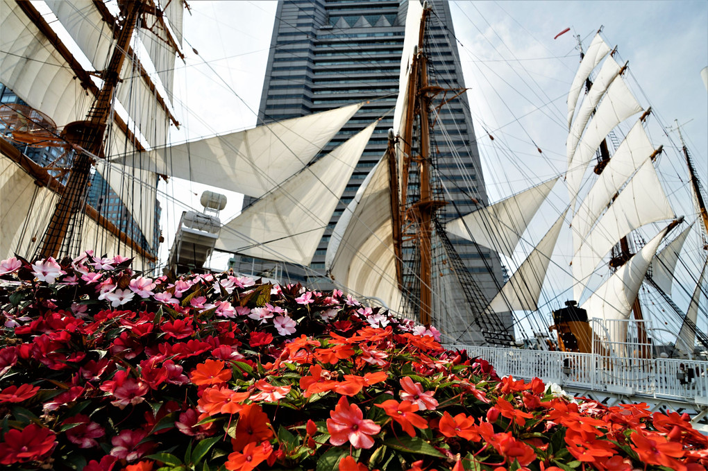 帆船日本丸とランドマークタワー