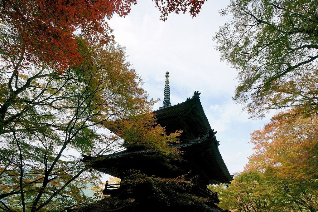 高源寺