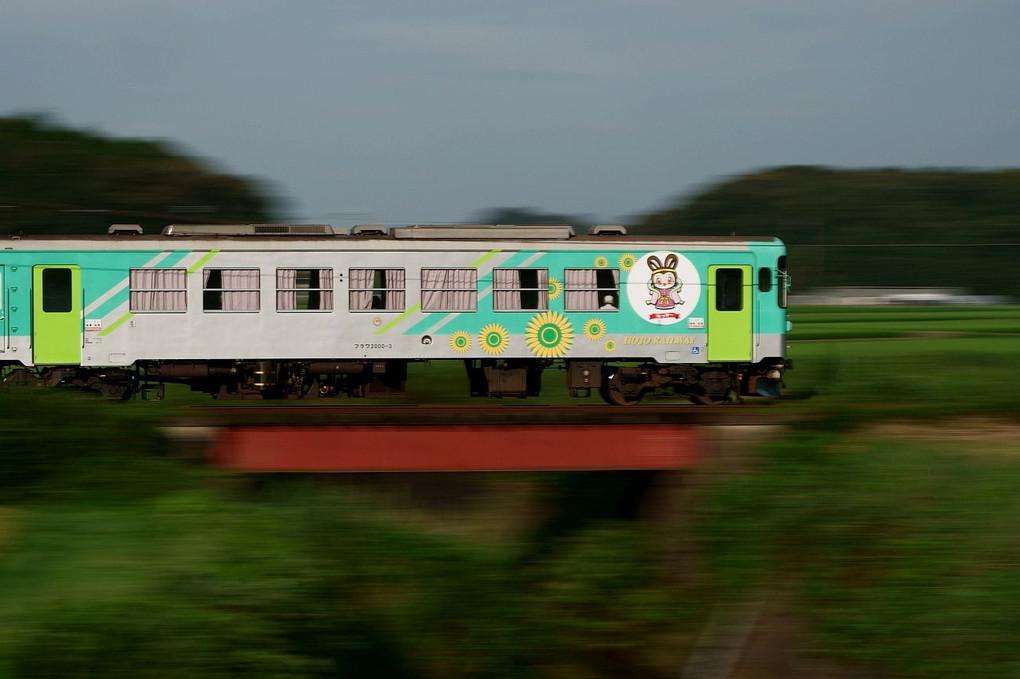 ヒマワリ電車