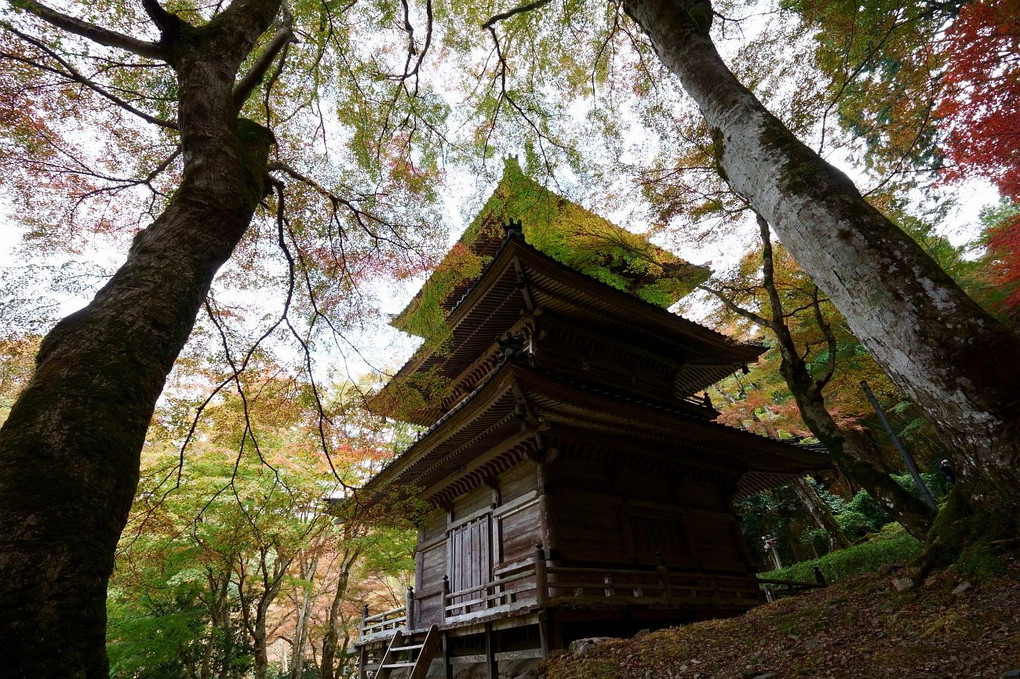 三重の塔