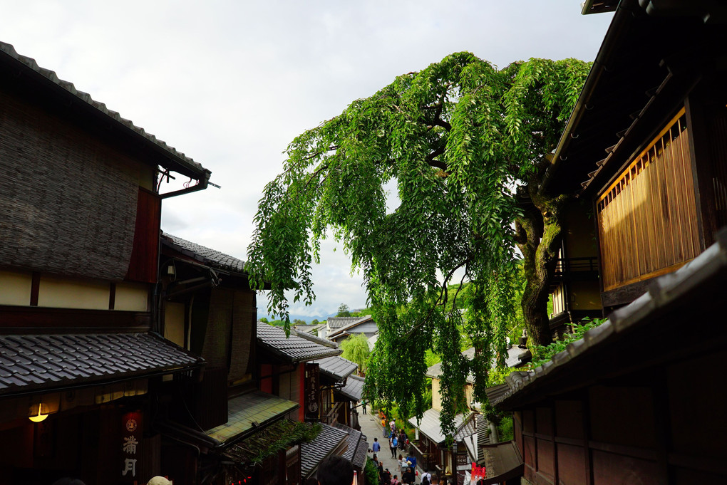 京都東山と花見小路
