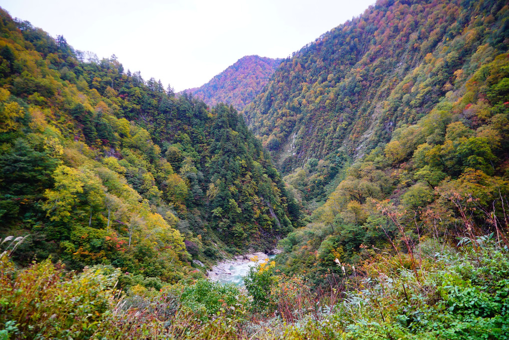 阿曽原温泉小屋