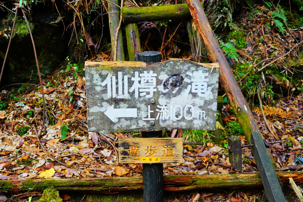 付知峡　仙樽の滝