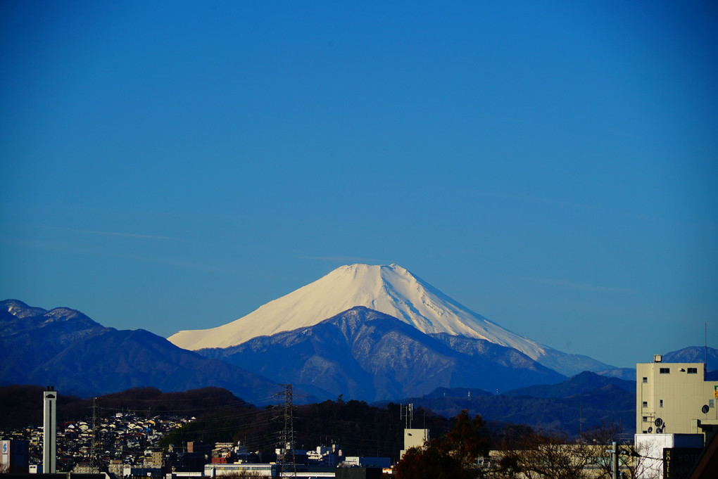 府中から望む富士山