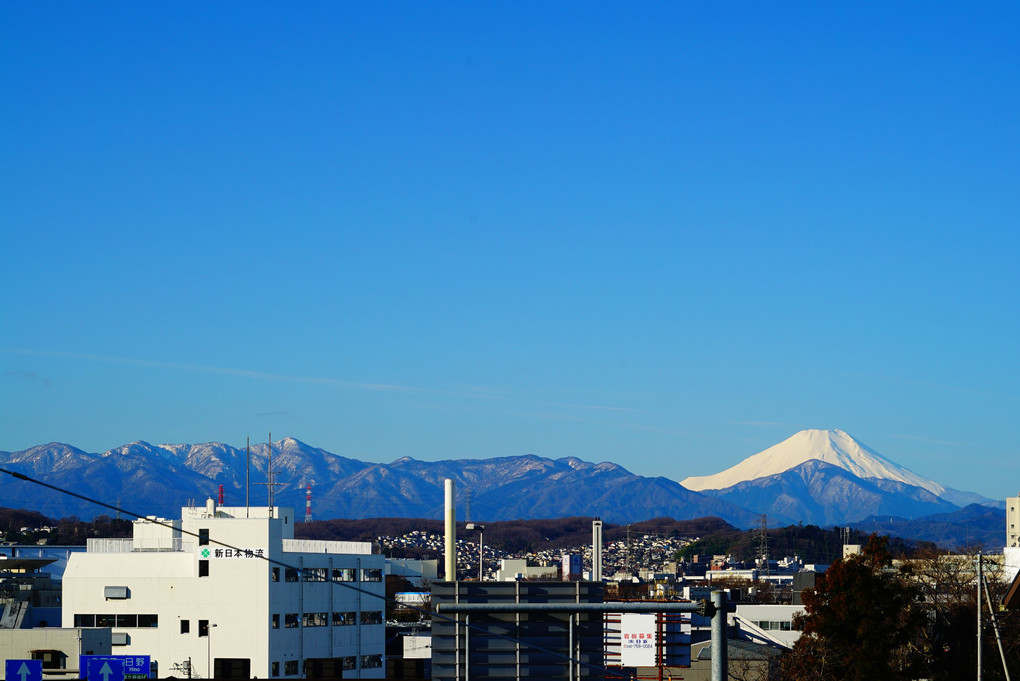 府中から望む富士山 手前の子抱富士のような山は、丹沢山系の大室山です。
