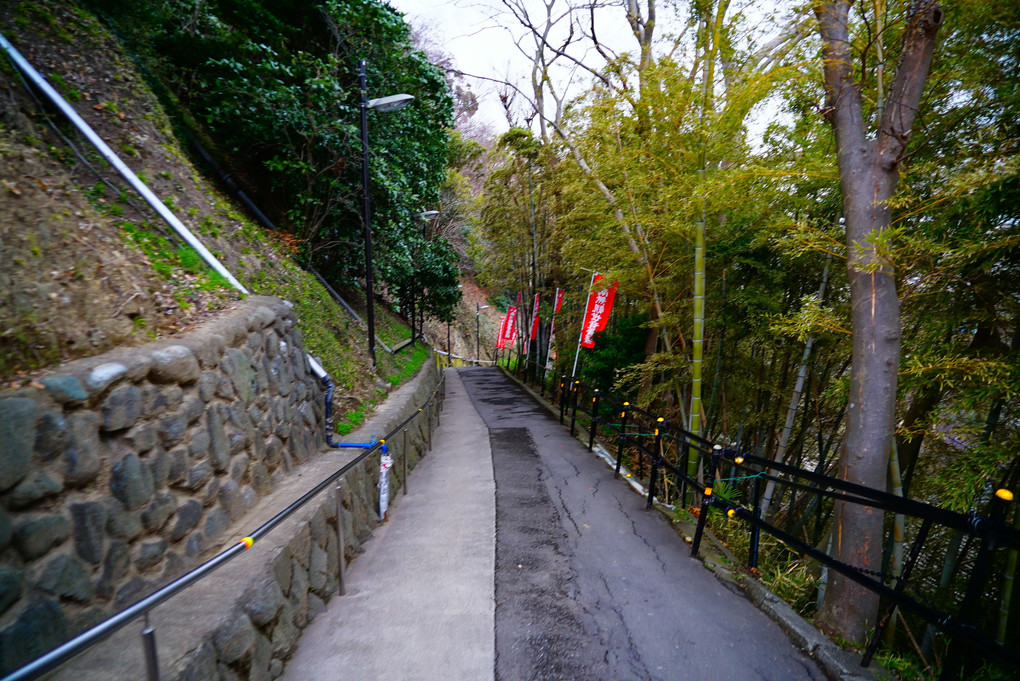 大船観音寺