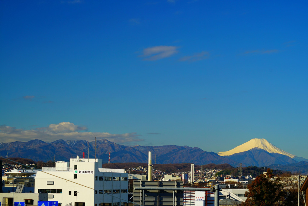 富士山と丹沢山系の山々も一望できます。 左から。塔ノ岳～丹沢山～蛭ヶ岳～檜洞丸