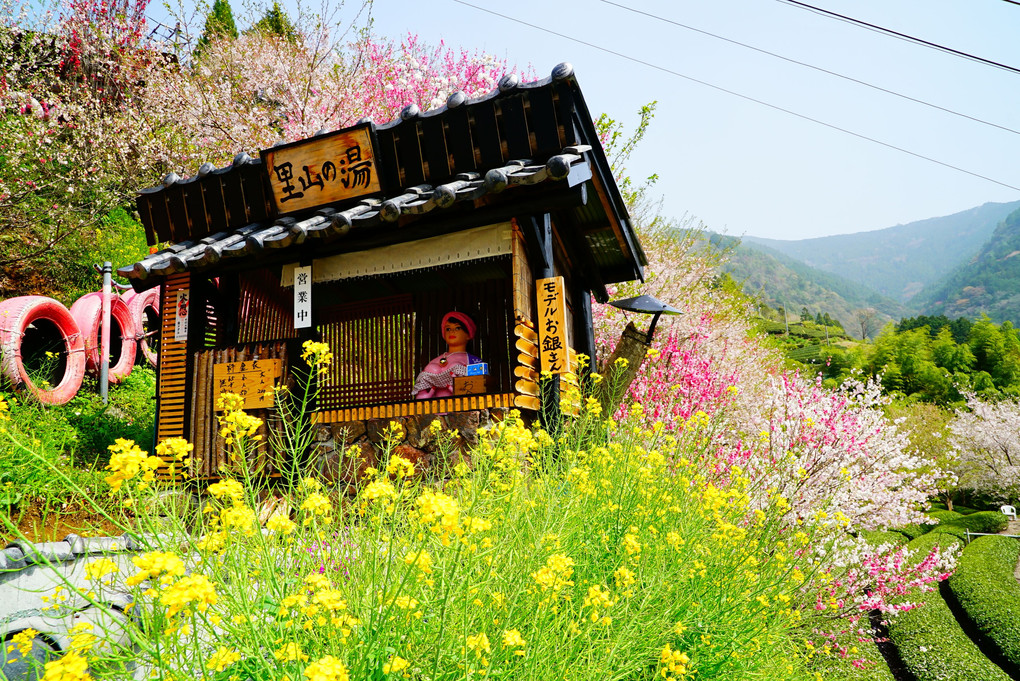 高知県寺村の『花の里公園』 