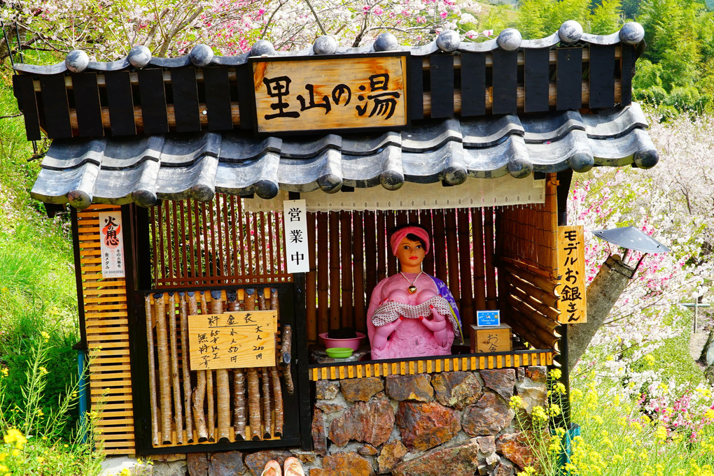 高知県寺村の『花の里公園』 