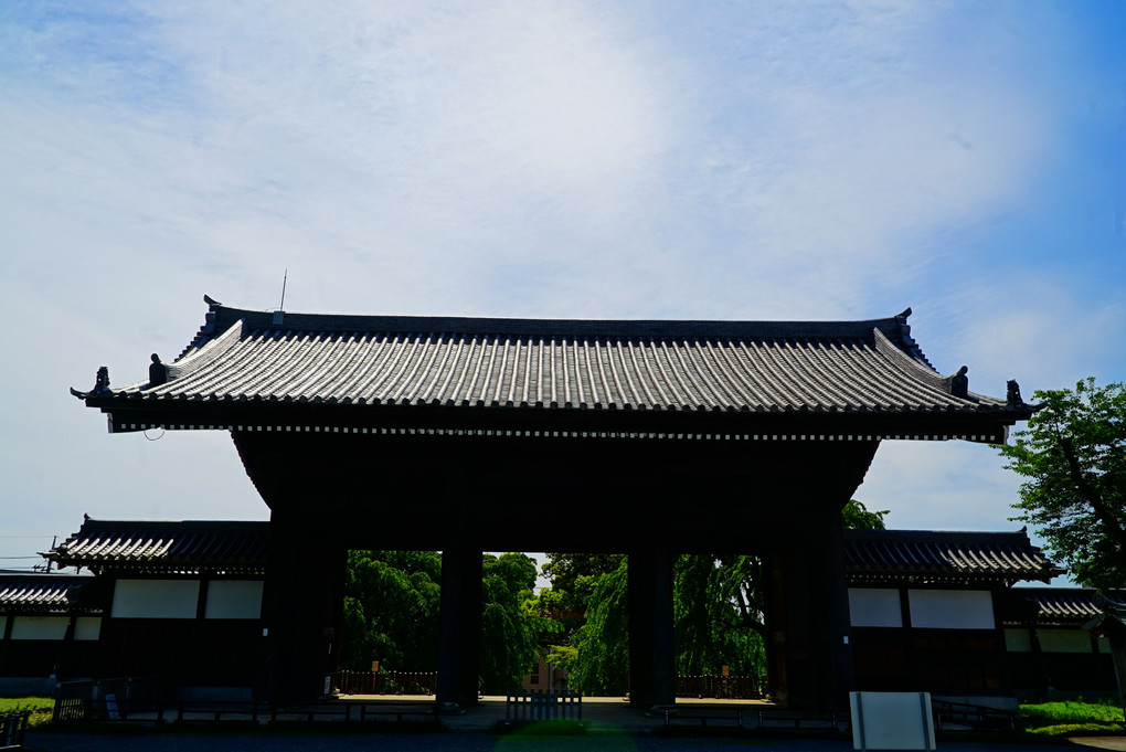 緊急事態宣言中　ご近所散策　聖将山【 東郷寺 】 