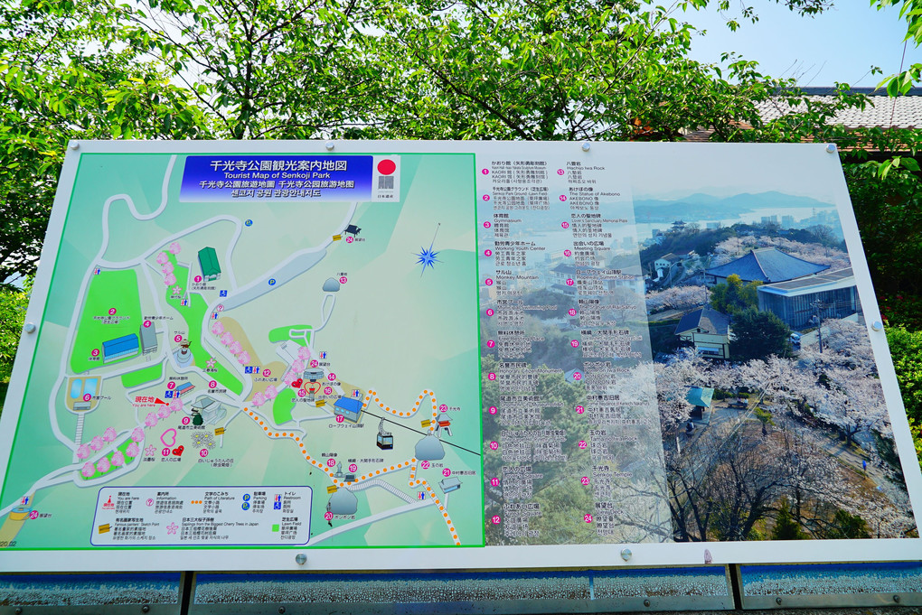 しまなみ海道サイクリングロード 　千光寺公園