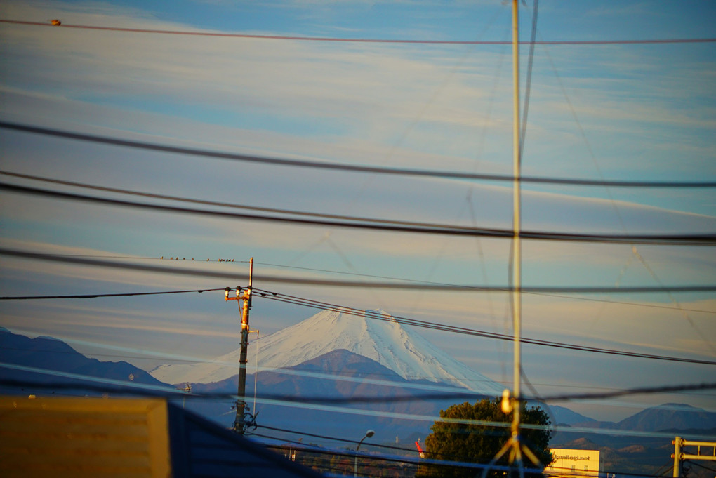 わが家から見える今朝の富士山    7.26am