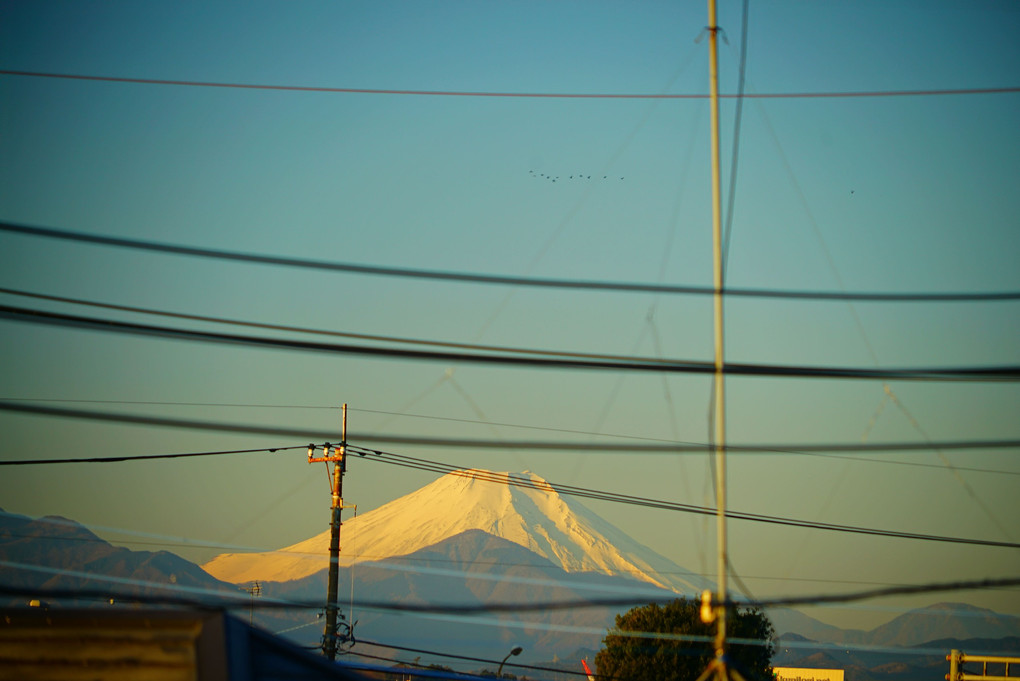わが家から見える今朝の富士山    7.29am