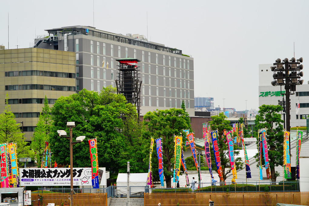 大相撲　五月場所　13日目　両国駅