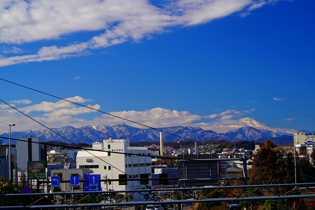 丹沢山系と富士山