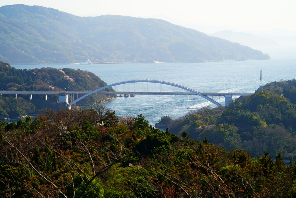 開山より望む『大三島橋』