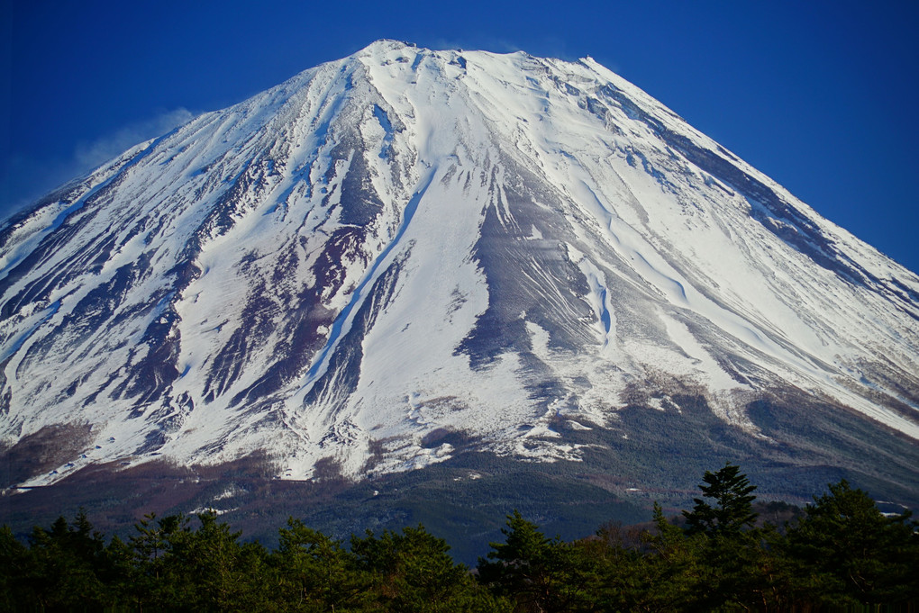富士五湖巡り【 精進湖 】世界遺産  2月23日の『富士山の日』に富士五湖巡りをして
