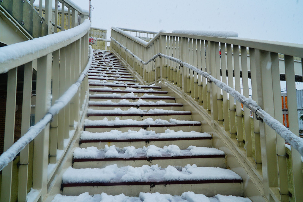 大雪警報