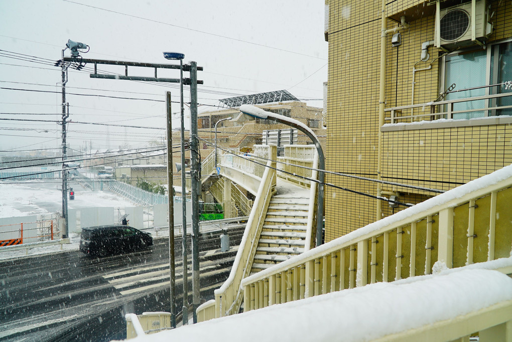 大雪警報