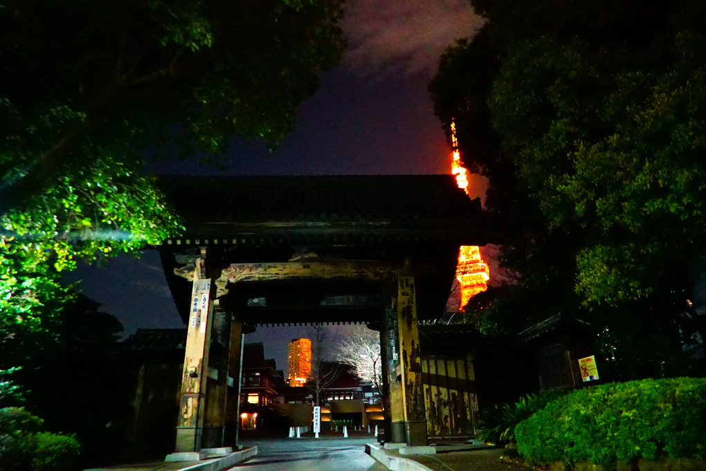 黒門(増上寺旧方丈門) と 東京タワー