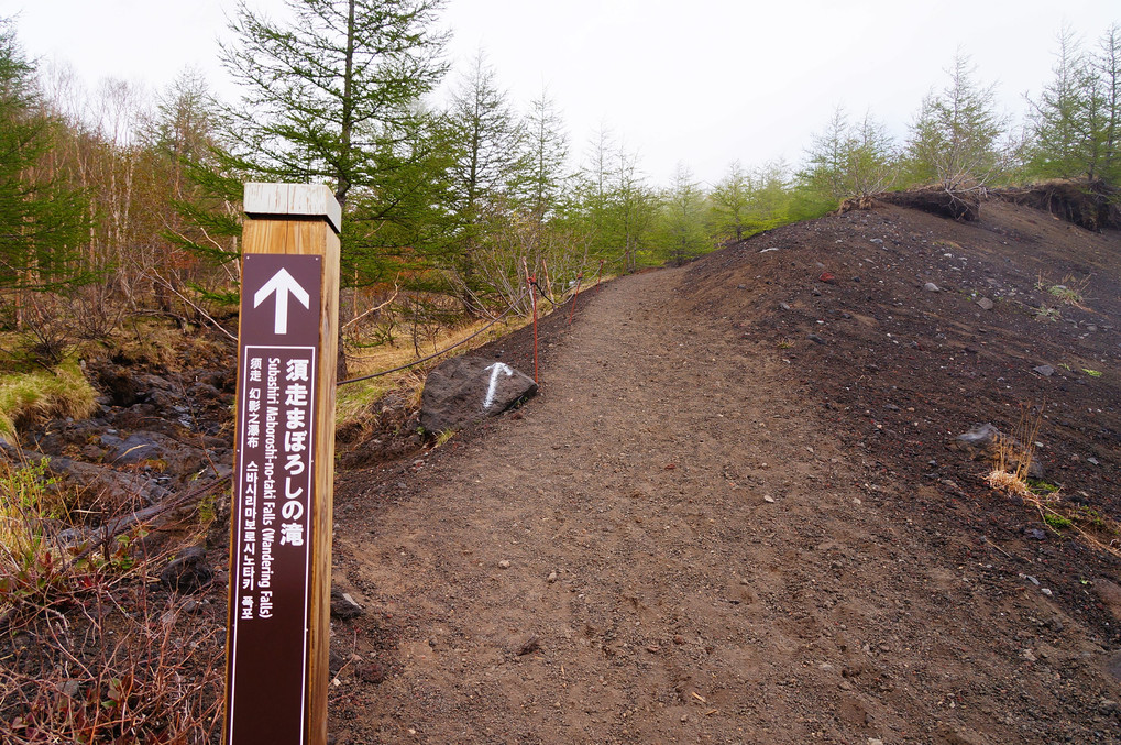 【 STAY HOME 】2013年5月25日 『富士山』まぼろしの滝 