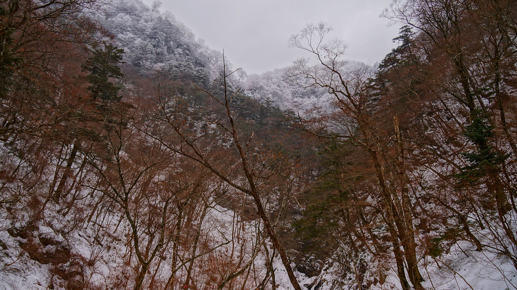 2015年1月8日　高瀑渓谷と高瀑の滝 一本の直瀑の落差は132mです。 