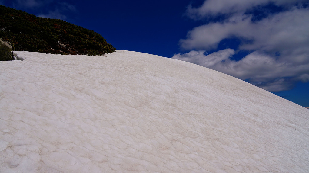 2014年6月15日　中央アルプスの主峰【駒ヶ岳】標高2,956m