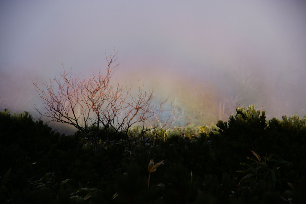 2011年11月12日　燧ヶ岳