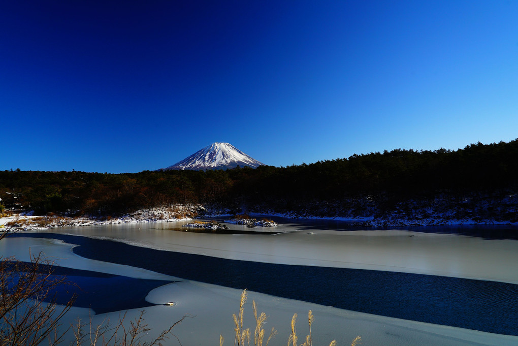 富士山