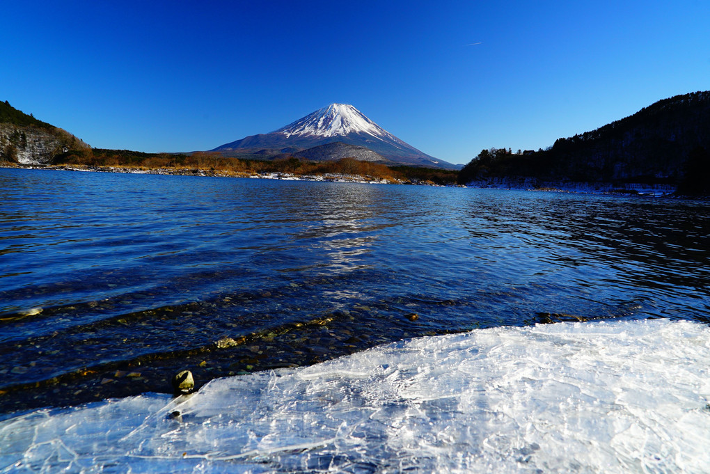 富士山