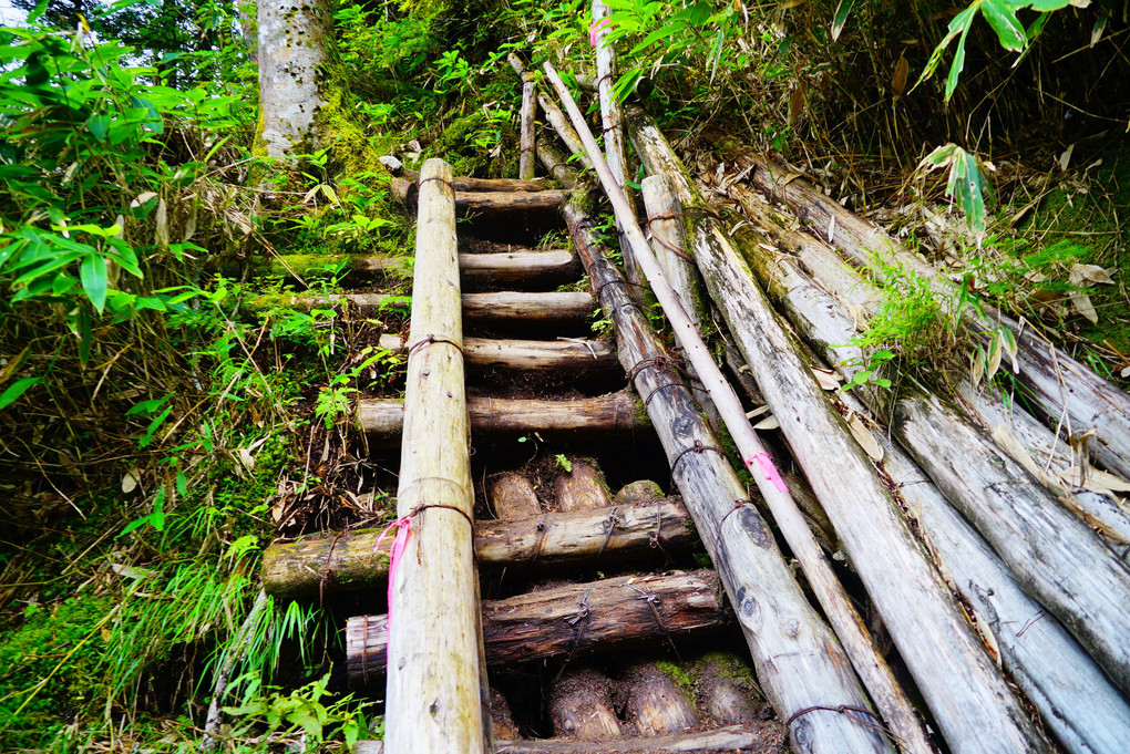 日本百名山　常念岳 　一ノ沢登山道　登りルート