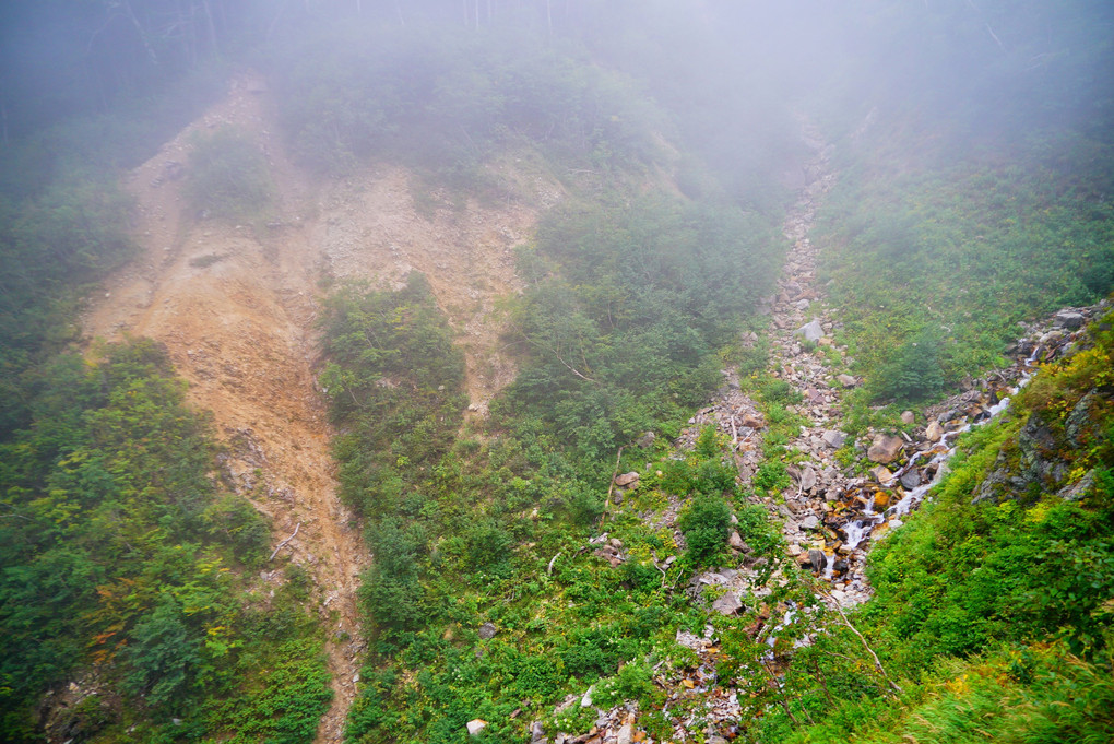 日本百名山　常念岳 　一ノ沢登山道　登りルート