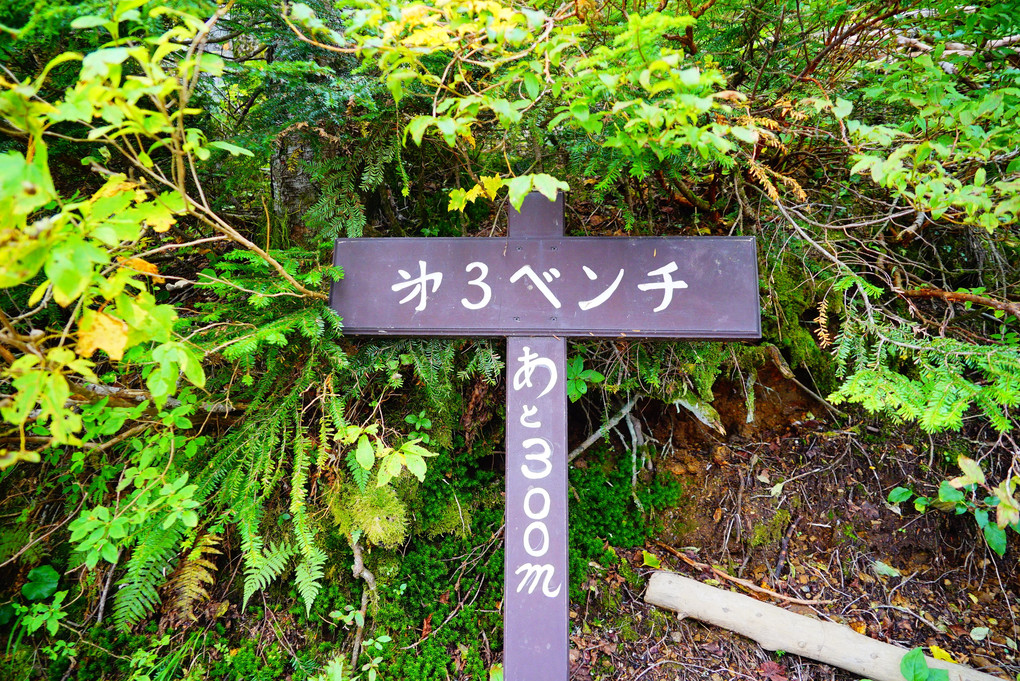 日本百名山　常念岳 　一ノ沢登山道　登りルート　第3ベンチ