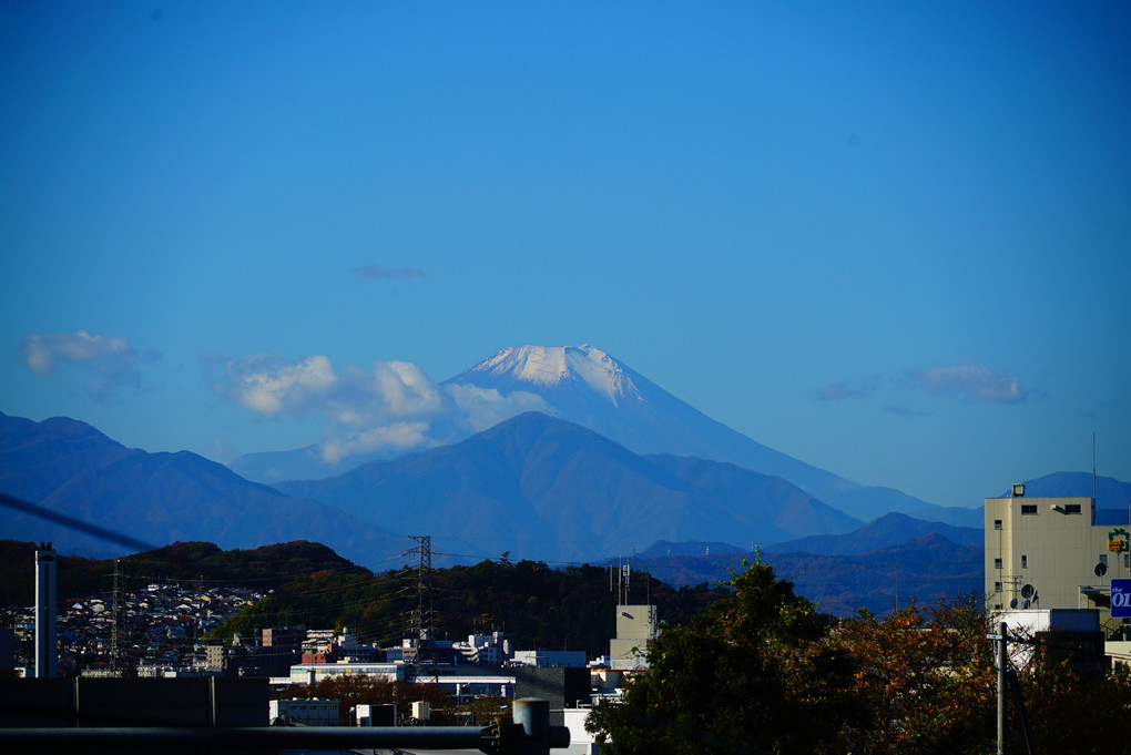 今日の富士山＠府中