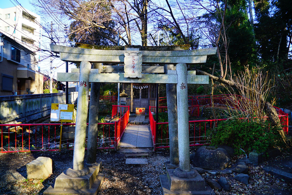 谷保天神に初詣をしました。