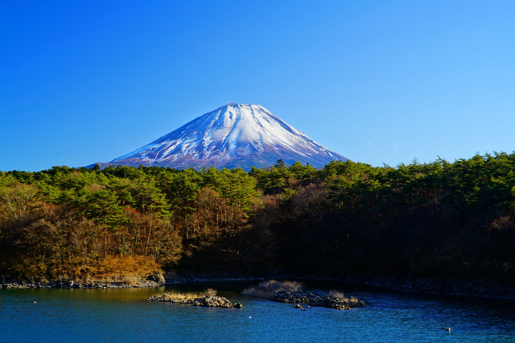 令和三年　元旦　富士山初詣　精進湖  