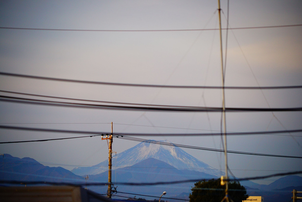正月11日　わが家から成人式の日の朝に見える富士山