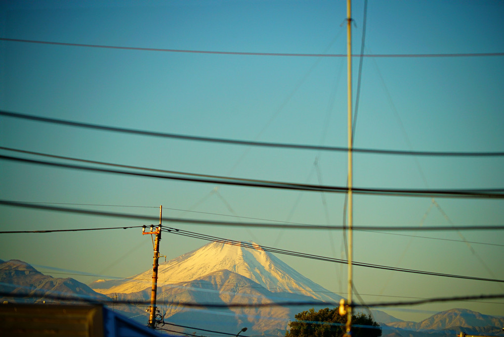 正月13日　わが家から見せる今朝の富士山  