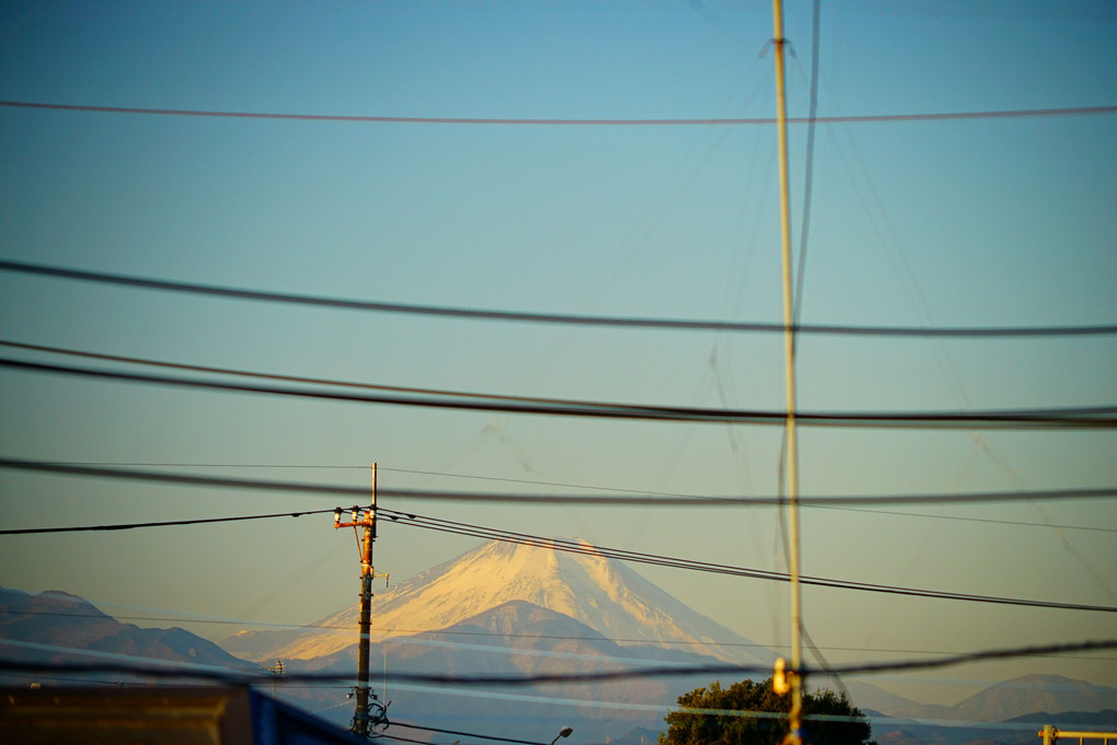 正月十四日　自宅から見える今朝の富士山