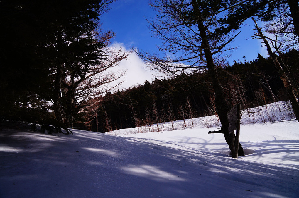 3月3日　富士山