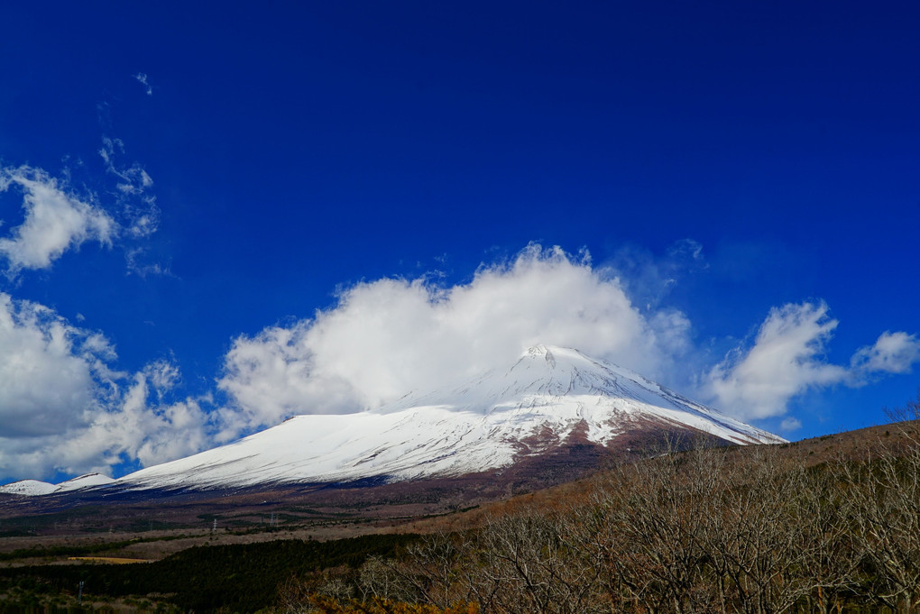 富士山一周　籠坂峠