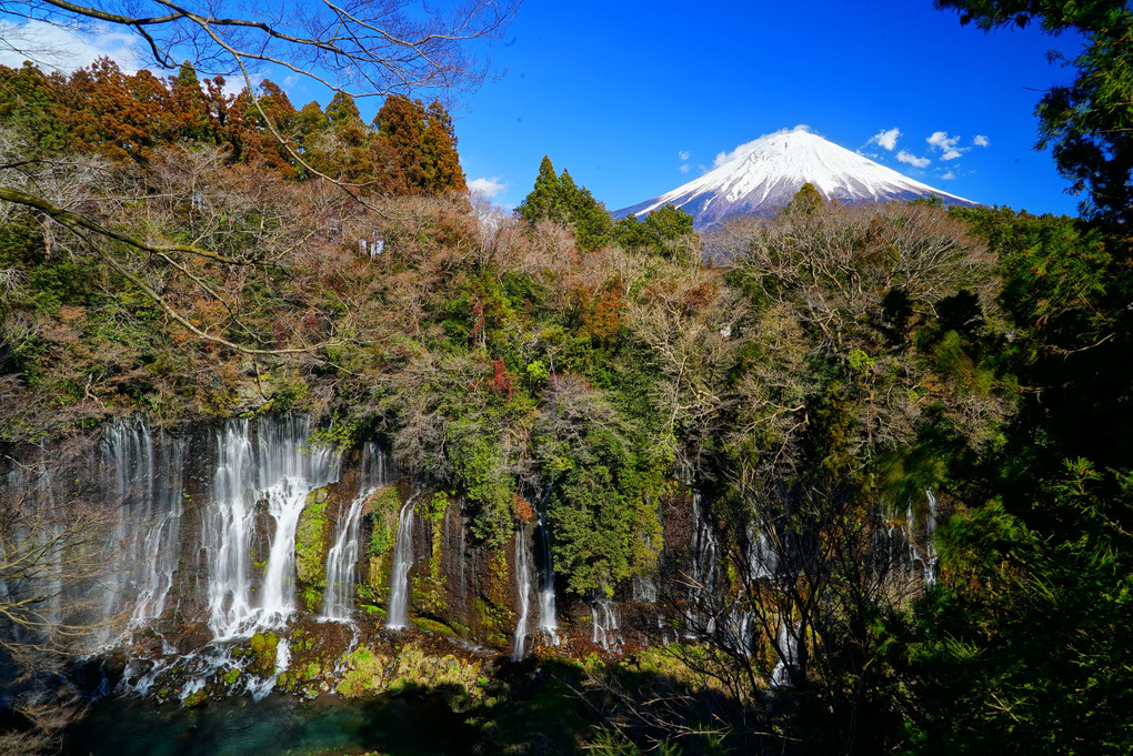 富士　白糸の滝